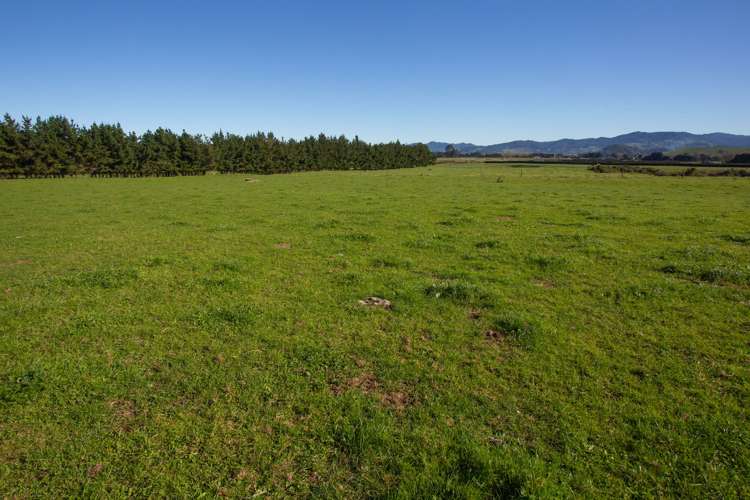 87 Mathers Road Waihi_11