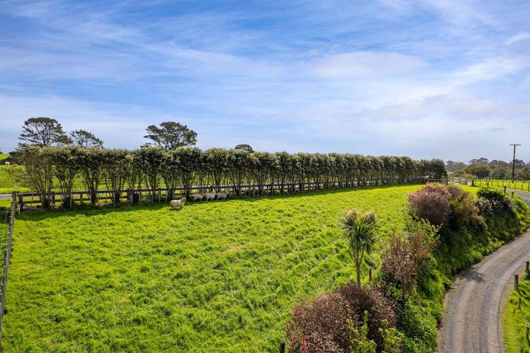 169 Upper Pitone Road Pitone_33