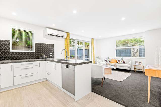 28C Hastings Street West Sydenham_3