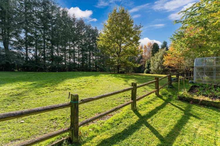 175 Forest Road Oruanui_27