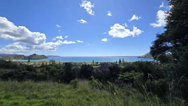 540b Medland Road Great Barrier Island_1