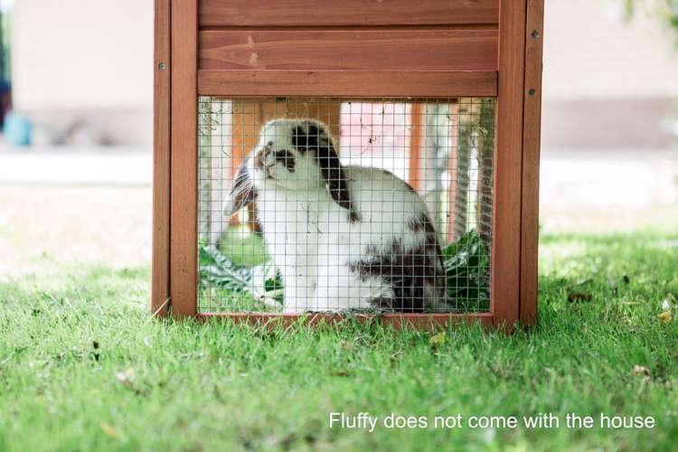 195 Kanohi Road Kaukapakapa_21