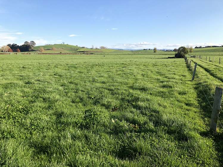 659 Kakepuku Road Te Awamutu_6