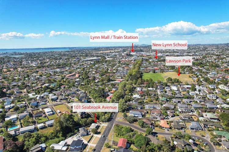 101 Seabrook Avenue New Lynn_12