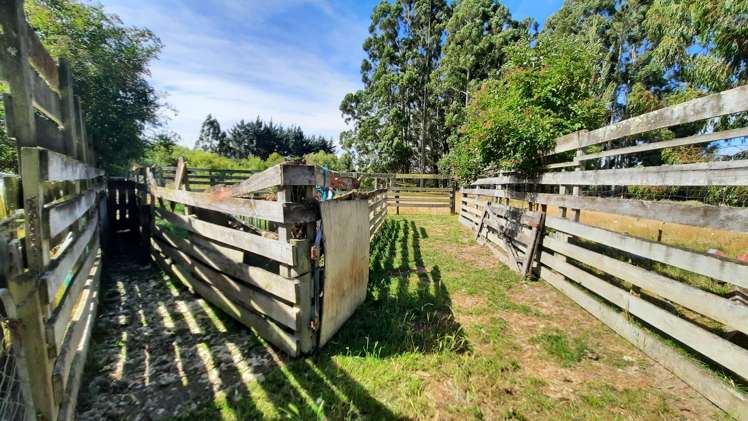 746 Clutha River Road Rongahere_42