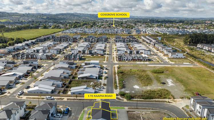 1 Te Kaapia Road Papakura_25