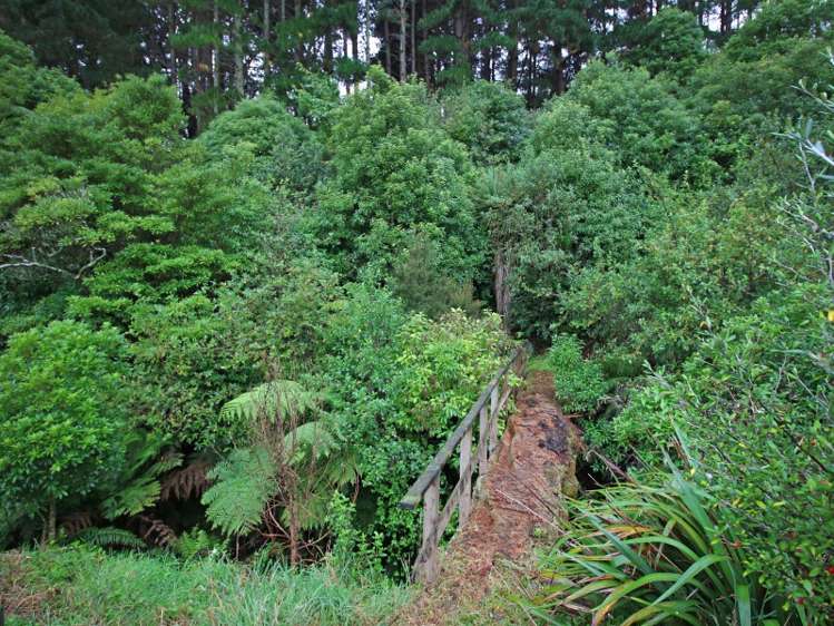 319 Pahiatua Aokautere Road Aokautere_13