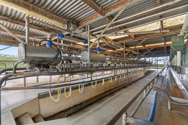 60/63 Harbottle Road Morrinsville_2