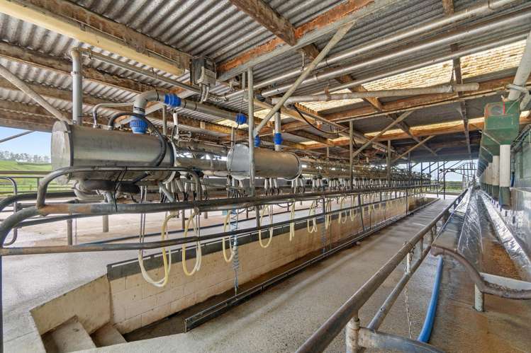 60/63 Harbottle Road Morrinsville_2