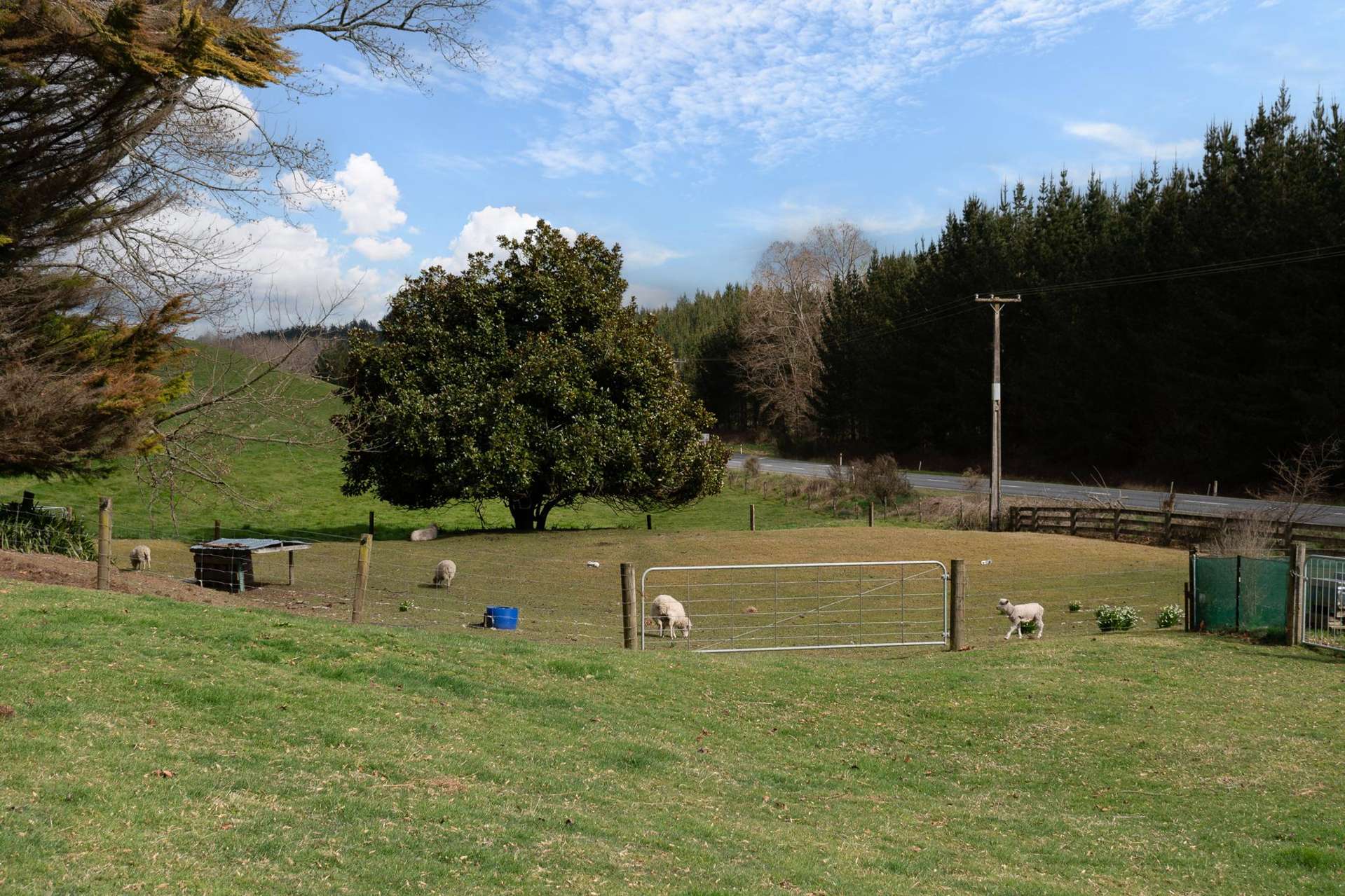 2411 State Highway 30 Atiamuri_0