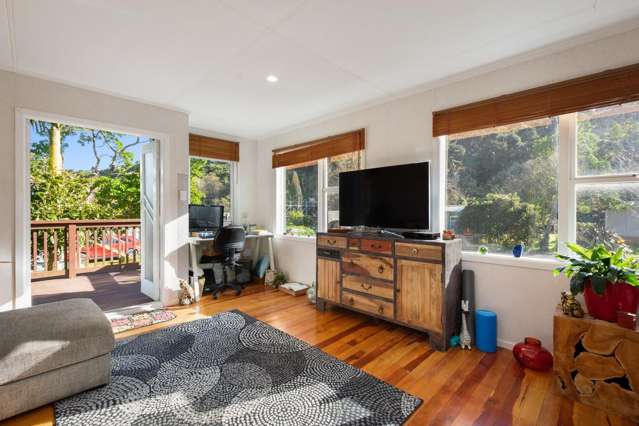 30 Tapu Coroglen Road Tapu_1