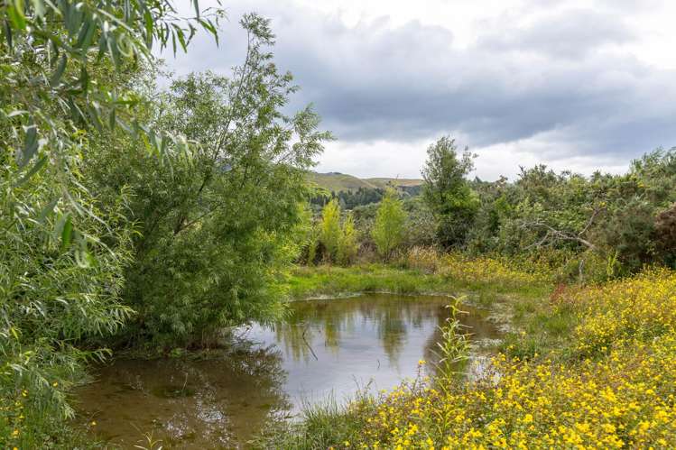 839B Chester Road West Taratahi_20