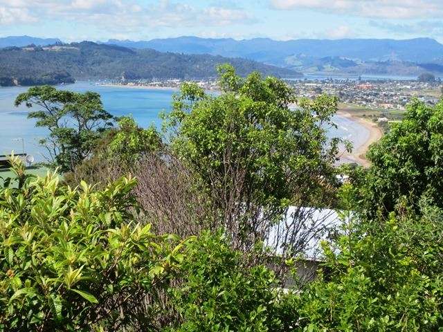 3 Cooks Lkt Whitianga_4