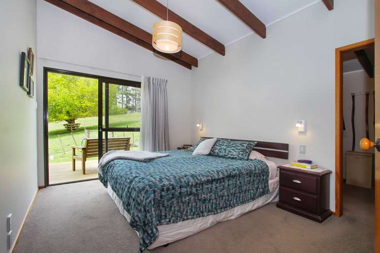 471 Horseshoe Bush Road Dairy Flat_10