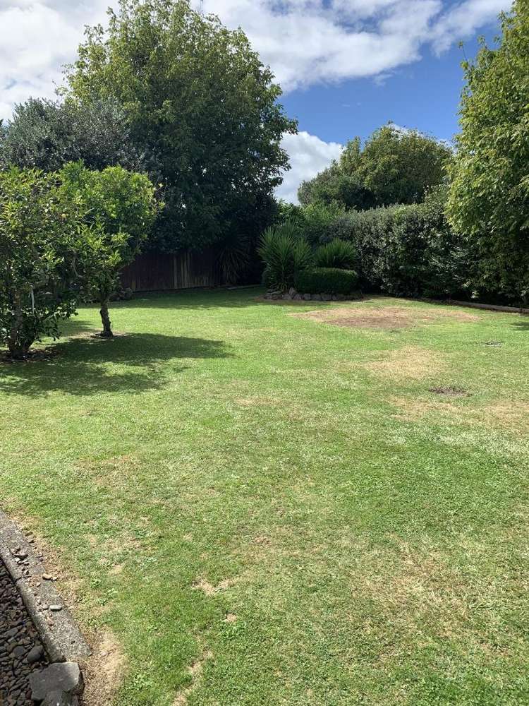 6 Larnach Street 1148_17