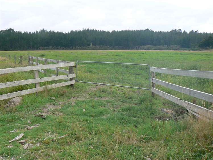 State Highway 12 Kaikohe_3