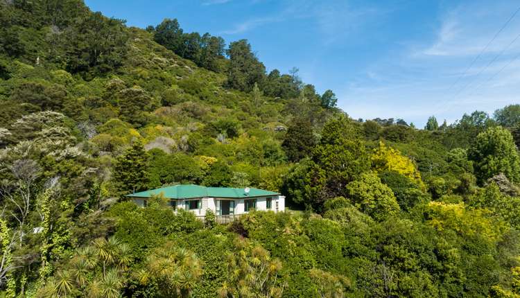404 Karaka Road Thames_20