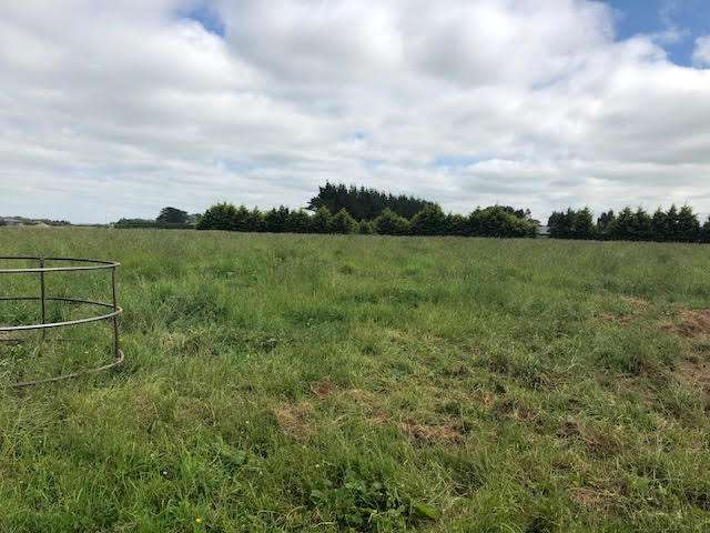 57 Caldwell Lane Roslyn Bush_2