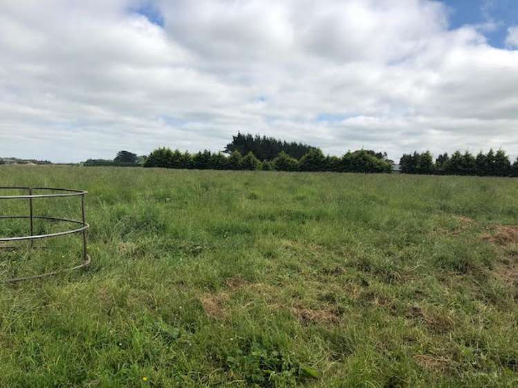 57 Caldwell Lane Roslyn Bush_2