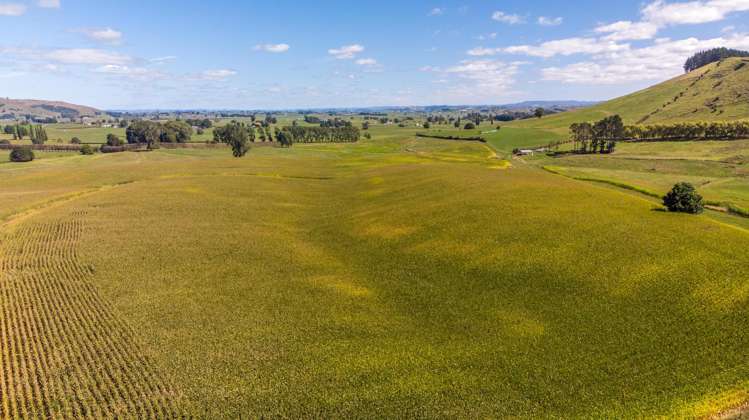 271 Cruickshank Road Tokanui_3