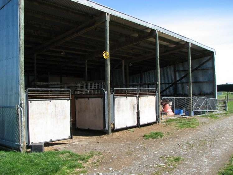 400 Ashburton Staveley Road Greenstreet_10