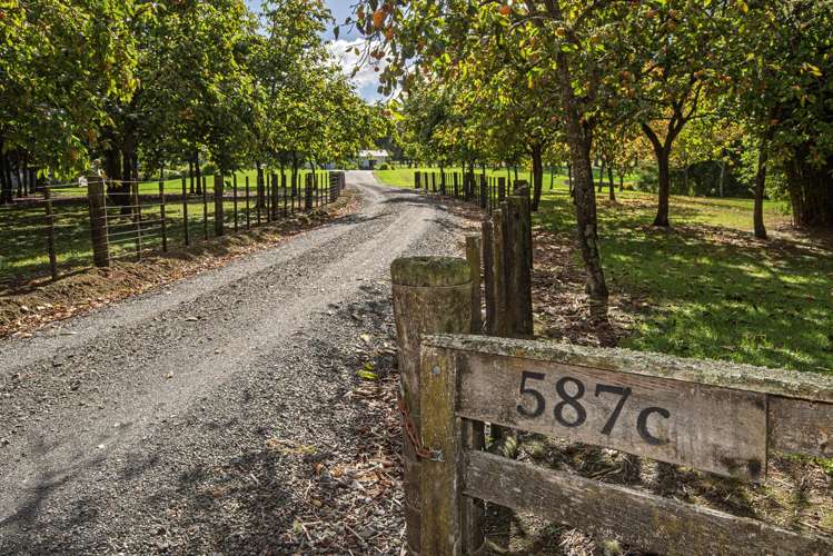 587c Crane Road Kauri_1