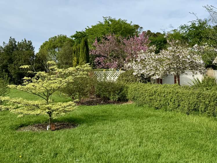 144 Loop Line Masterton_18