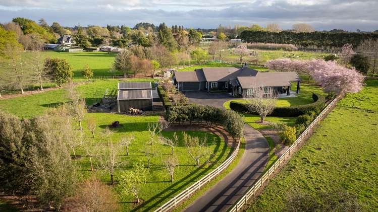 67d Davison Road Newstead_36