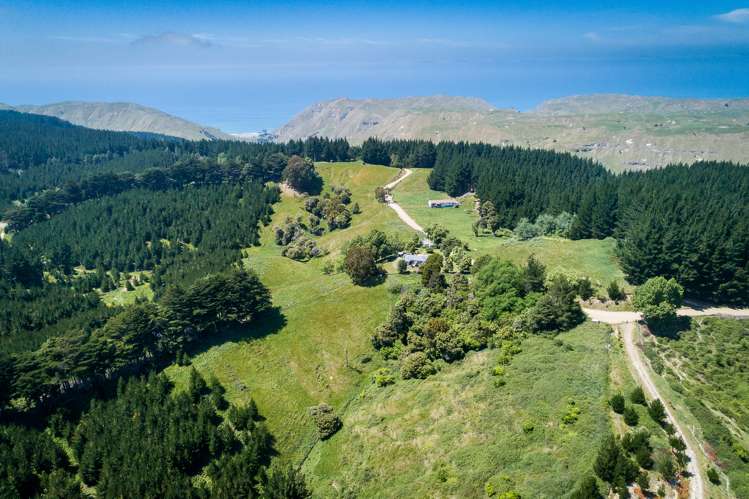 1447 Ridgemount Road Tutira_15