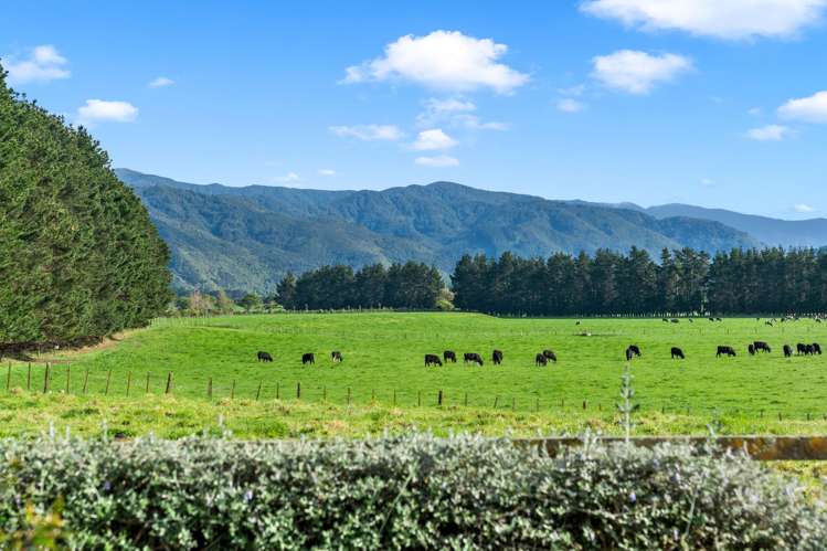 151A Woodside Road Greytown_16