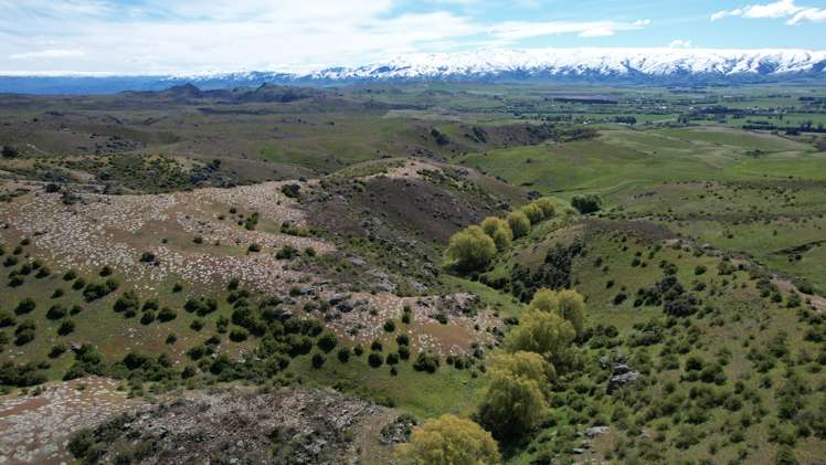 Lot 1 Ida Valley - Omakau Road_2