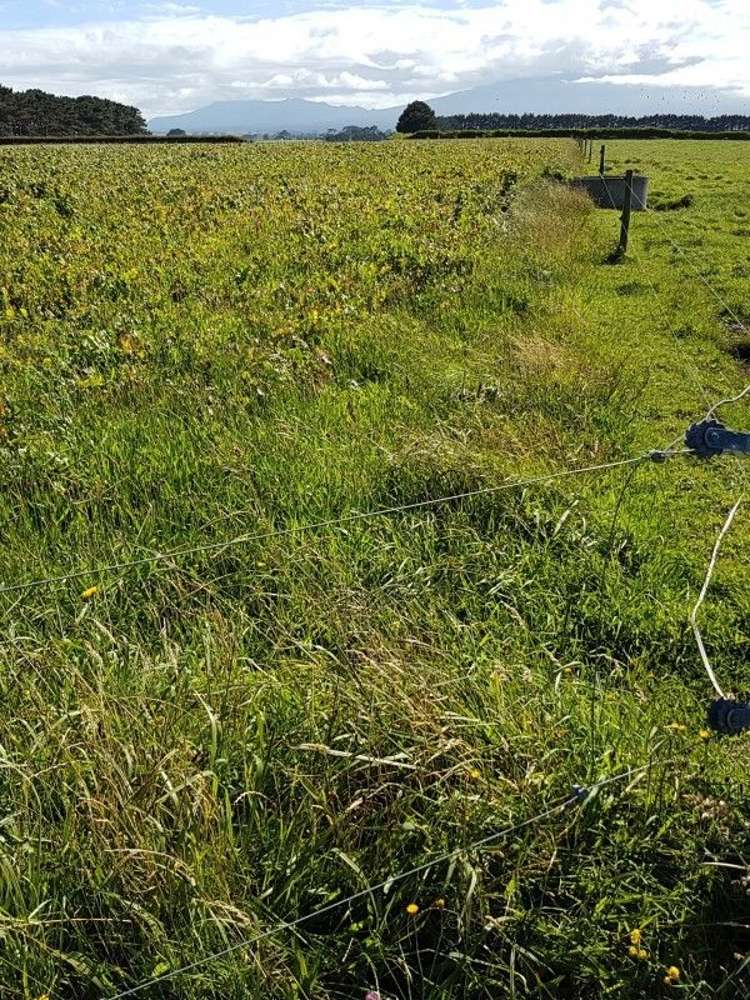 349 Ihaia Road Opunake_23