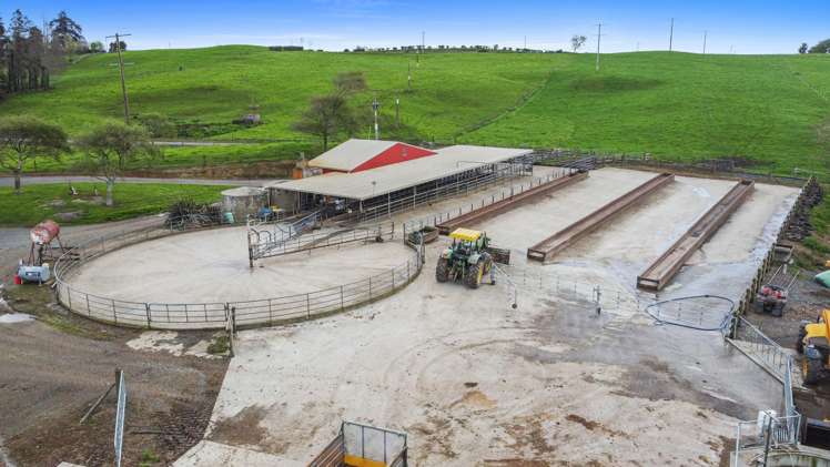 520 Lake Road Horsham Downs_13