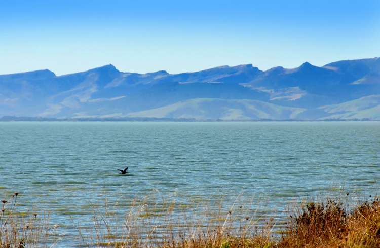 168 Timber Yard Road Leeston_25