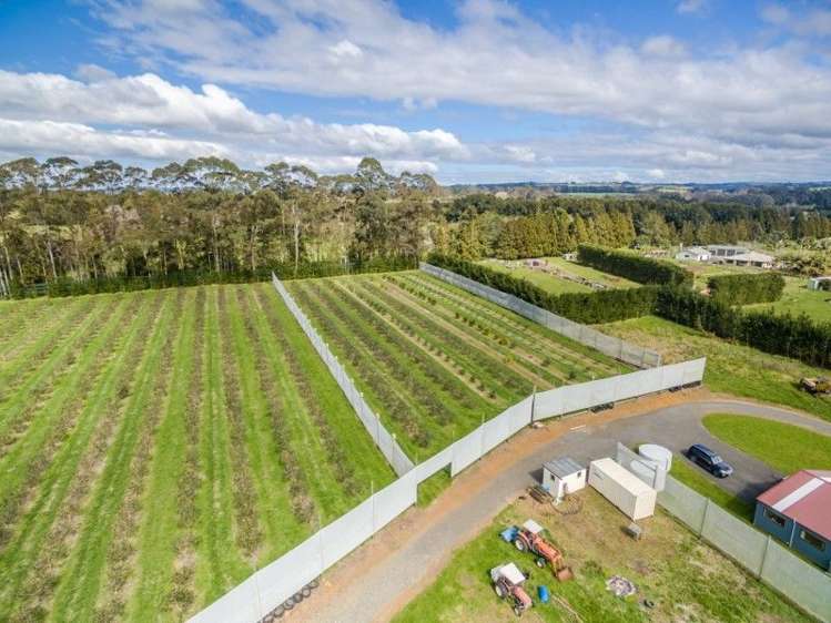 145a Waimate North Road Kerikeri_16