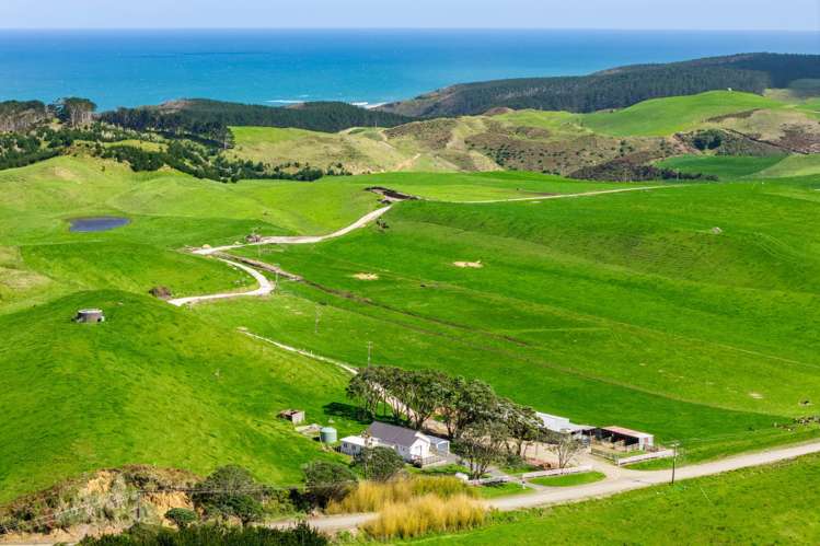 780 Te Maire Road Te Kopuru_15