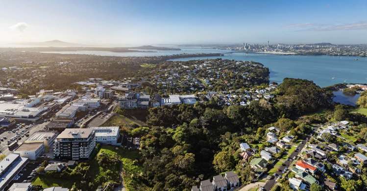 3Brm 82 Mokoia Road Birkenhead_2