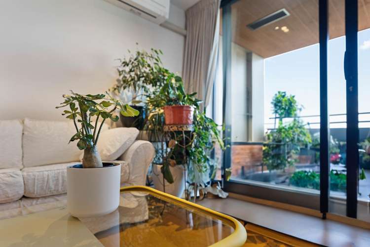 220/64 Victoria St_4