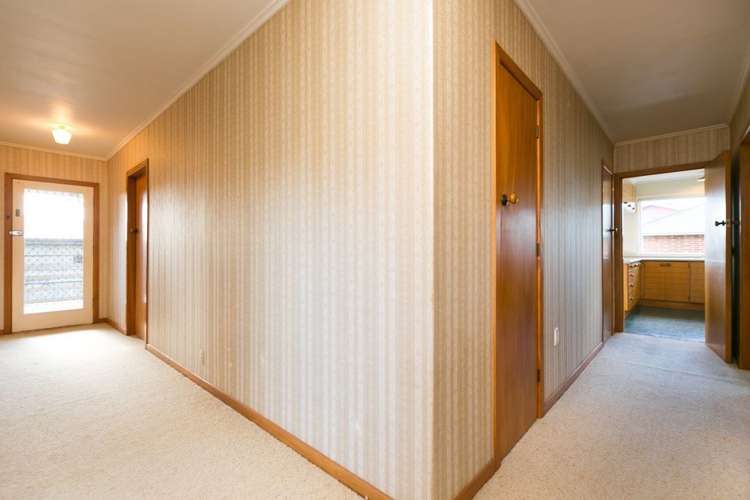 256a Carrington Street Vogeltown_8