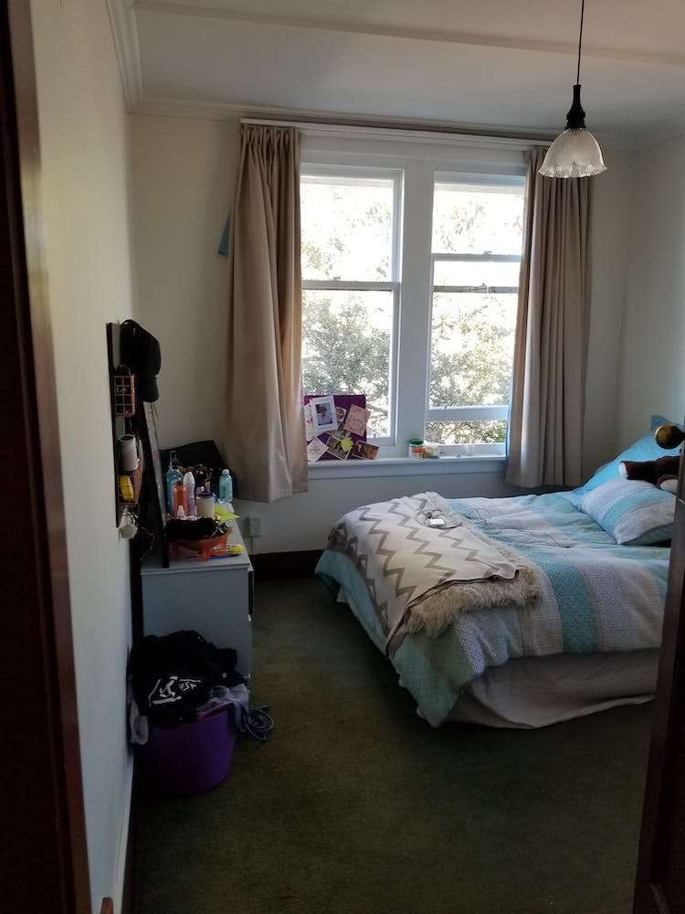 146 Cargill Street Dunedin Central_14