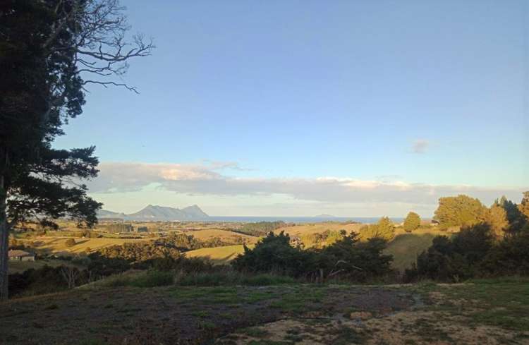 265 Prescott Road Ruakaka_7