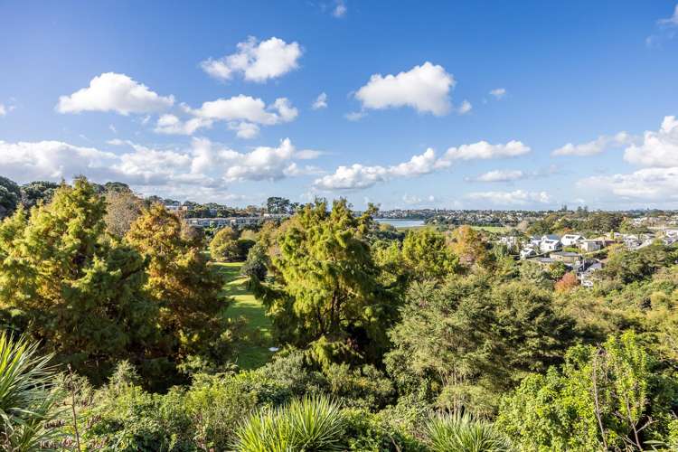 3K Laxon Terrace Remuera_5