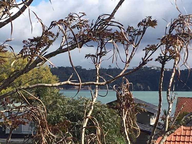 47 Faulder Avenue Westmere_19