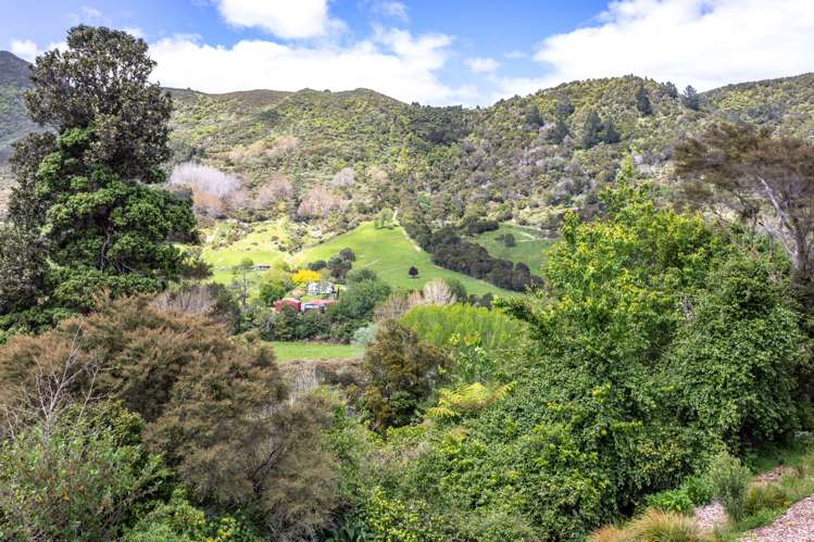 24 Ohaene Drive Thames_10