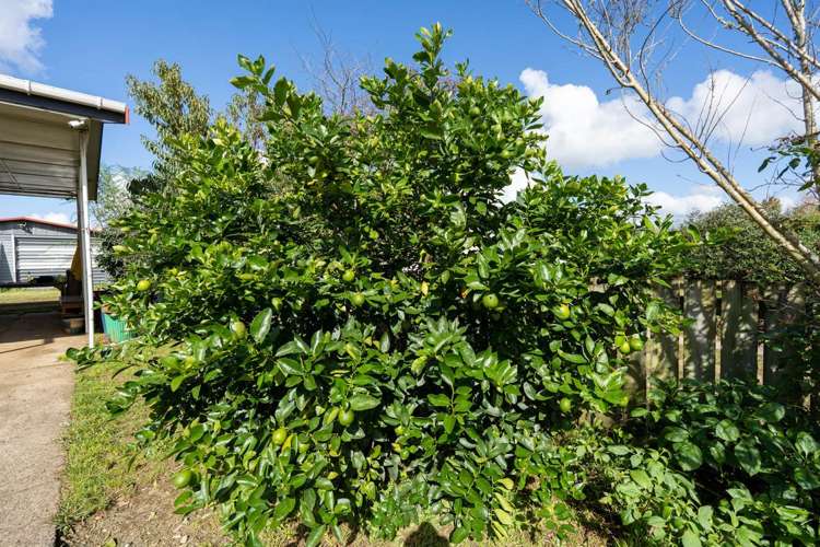 12 Guy Road Kaikohe_29