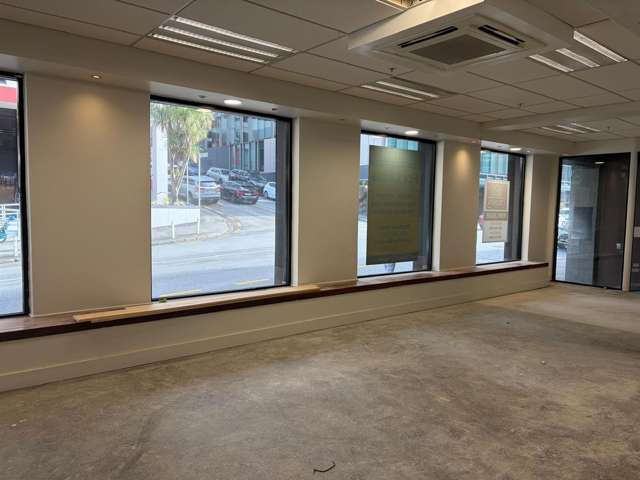 85 The Terrace Wellington Central_4