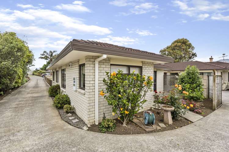 96a Collingwood Road Waiuku_1