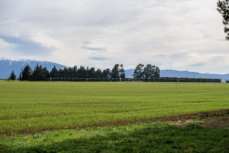 3716 Old West Coast Road Sheffield_20