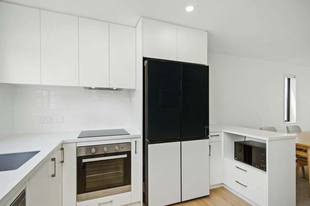 29 John Street Petone_3