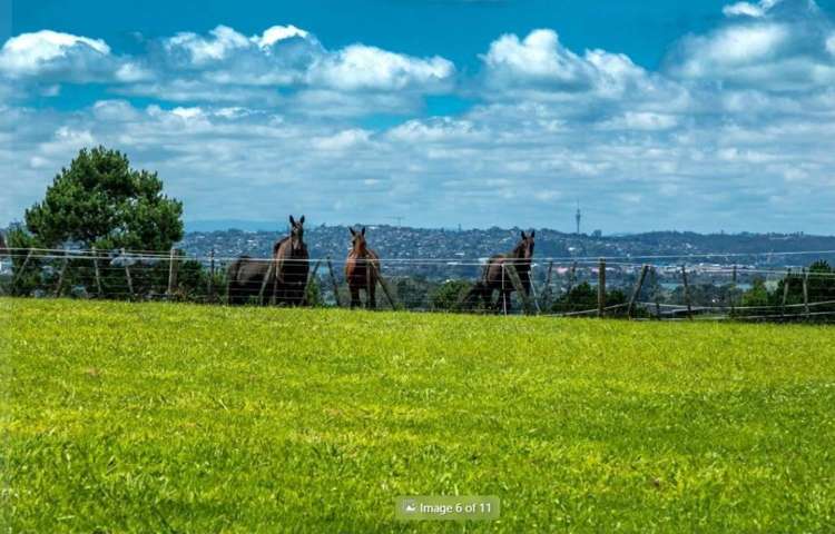 41 Diamond Lane Riverhead_2